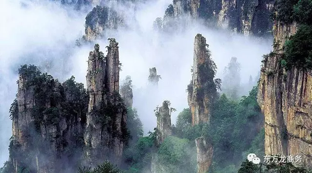 東方龍商務(wù)與張家界經(jīng)濟開發(fā)區(qū)達成委托招商引資合作，助力打造生態(tài)工業(yè)新城
