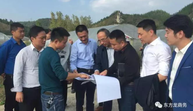 陪同高效農(nóng)業(yè)全國布點投資選址項目與貴州玉屏侗族自治縣簽訂投資意向協(xié)議 陪同高效農(nóng)業(yè)全國布點投資選址項目與貴州玉屏侗族自治縣簽訂投資意向協(xié)議