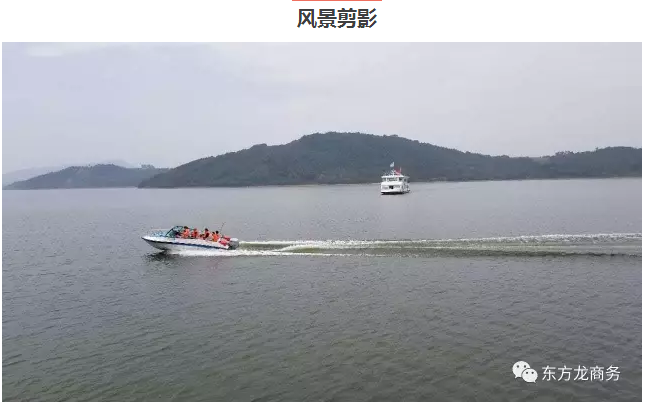 【團(tuán)隊(duì)建設(shè)】東方龍商務(wù)團(tuán)隊(duì)天目湖站拓展活動圓滿成功