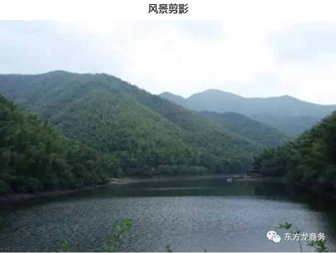 【團(tuán)隊(duì)建設(shè)】東方龍商務(wù)團(tuán)隊(duì)天目湖站拓展活動圓滿成功