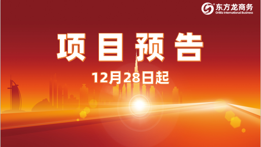 堅(jiān)持高水準(zhǔn)開(kāi)發(fā)，高質(zhì)量對(duì)接！12月28日起，25家優(yōu)質(zhì)投資選址企業(yè)精準(zhǔn)對(duì)接全國(guó)政府園區(qū)