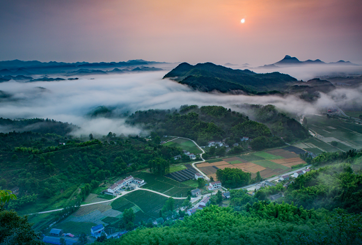集團(tuán)全力助推安徽六安霍山縣委托招商引資，著力打造支柱型特色產(chǎn)業(yè)高質(zhì)發(fā)展