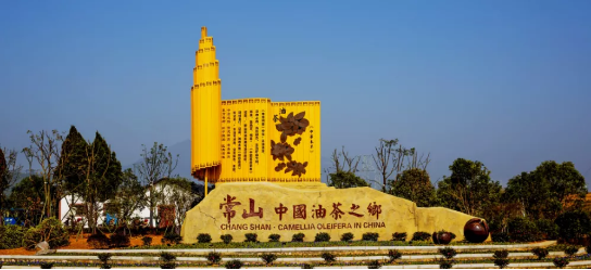 政府委托招商合作丨全力助推浙江衢州常山縣傳統(tǒng)產(chǎn)業(yè)加快升級，新興產(chǎn)業(yè)異軍突起