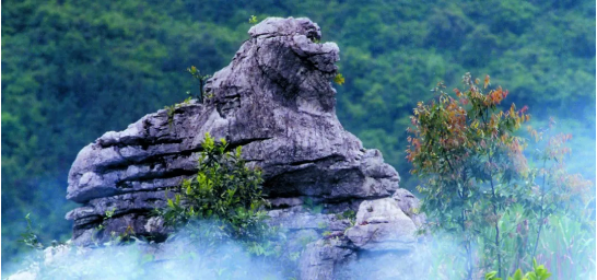 政府委托招商合作丨全力助推浙江衢州常山縣傳統(tǒng)產(chǎn)業(yè)加快升級，新興產(chǎn)業(yè)異軍突起