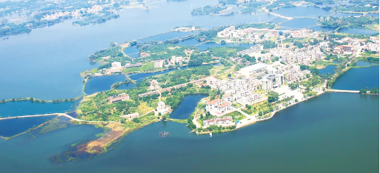 集團全力助推廣東湛江廉江市委托招商引資，圍繞優(yōu)勢產業(yè)補鏈、強鏈、延鏈