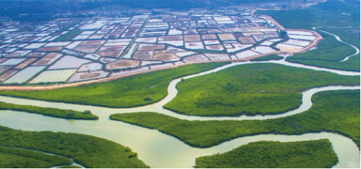 集團全力助推廣東湛江廉江市委托招商引資，圍繞優(yōu)勢產業(yè)補鏈、強鏈、延鏈