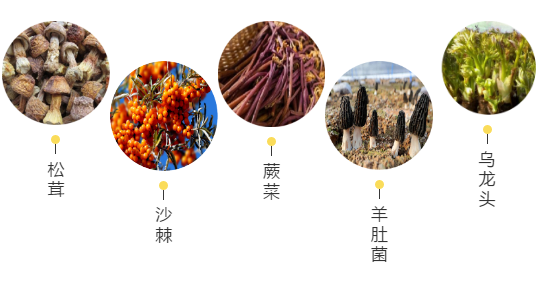 【甘南政府招商推介】立足生態(tài)優(yōu)勢，推動綠色發(fā)展，打造青藏高原上的生態(tài)文明高地