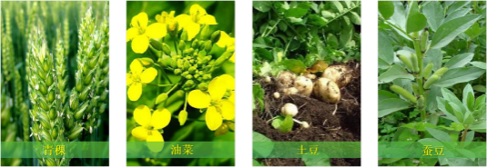 【甘南政府招商推介】立足生態(tài)優(yōu)勢，推動綠色發(fā)展，打造青藏高原上的生態(tài)文明高地