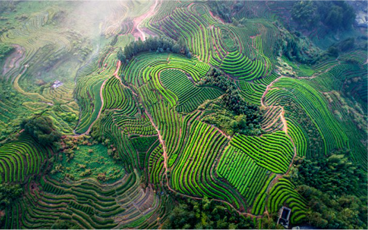 集團(tuán)全力助推福建寧德周寧縣委托招商引資，強(qiáng)化特色產(chǎn)業(yè)實(shí)力，為全縣高質(zhì)量發(fā)展增添新動力