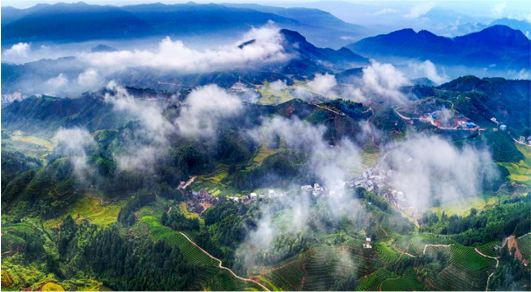 集團(tuán)全力助推福建寧德周寧縣委托招商引資，強(qiáng)化特色產(chǎn)業(yè)實(shí)力，為全縣高質(zhì)量發(fā)展增添新動力