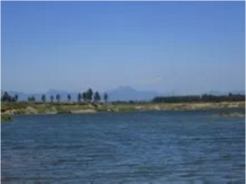 東方龍商務(wù)集團(tuán)助力河北高邑縣委托招商引資，以“新經(jīng)濟(jì)”撬動(dòng)“新引擎”