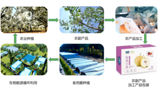 集團(tuán)全力助推山西省臨汾市隰縣委托招商引資，強(qiáng)力打造優(yōu)勢產(chǎn)業(yè)新名片