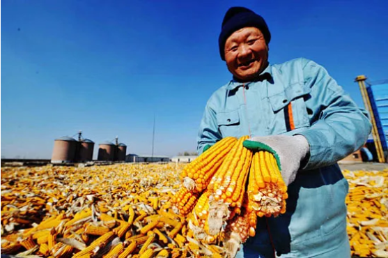 集團(tuán)全力助推黑龍江省委托招商引資，以農(nóng)業(yè)高質(zhì)量發(fā)展助推鄉(xiāng)村振興