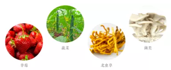 集團(tuán)全力助推遼寧省燈塔市委托招商引資，以“特色小鎮(zhèn)”打造全國(guó)產(chǎn)業(yè)集聚區(qū)