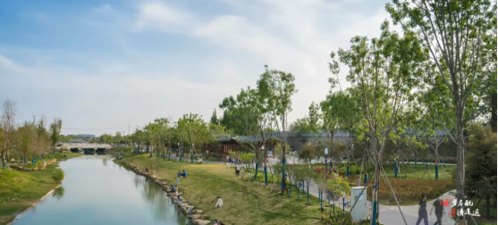 集團(tuán)全力助推河南開封順河回族區(qū)委托招商引資，突出特色優(yōu)勢，強(qiáng)化精準(zhǔn)賦能，提升經(jīng)濟(jì)活力