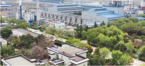 集團(tuán)全力助推河南開封順河回族區(qū)委托招商引資，突出特色優(yōu)勢，強(qiáng)化精準(zhǔn)賦能，提升經(jīng)濟(jì)活力
