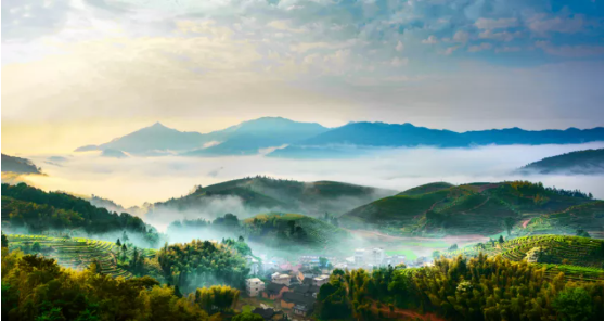 集團(tuán)全力助推福建省周寧縣委托招商引資，打造宜居宜業(yè)宜游的“云端之城”