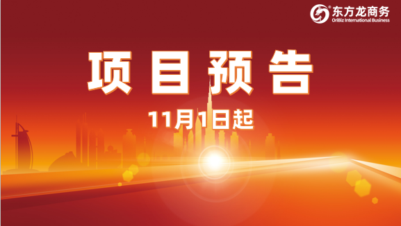 大干100天，提速、提效、提質(zhì)！11月1日起，24家優(yōu)質(zhì)投資選址企業(yè)精準對接全國政府園區(qū)