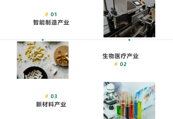 集團全力助推山東臨沂綜合保稅區(qū)委托招商引資，搶抓發(fā)展機遇，突出打造三大特色產(chǎn)業(yè)集群
