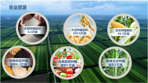 集團全力助推黑龍江齊齊哈爾拜泉縣委托招商引資，立足資源優(yōu)勢，開辟產(chǎn)業(yè)集群高質(zhì)量發(fā)展新高地