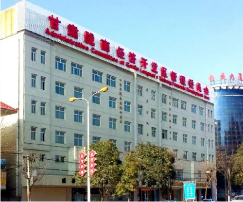 集團全力助推甘肅隴南成縣委托招商引資，充分挖掘資源潛力，增強經(jīng)濟發(fā)展動力