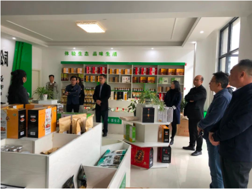 集團全力助推甘肅隴南成縣委托招商引資，充分挖掘資源潛力，增強經(jīng)濟發(fā)展動力