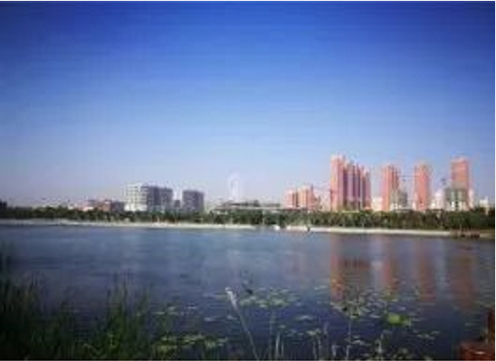 集團全力助推河南鄧州市委托招商引資，促進資源優(yōu)勢向主導產(chǎn)業(yè)集中轉(zhuǎn)化