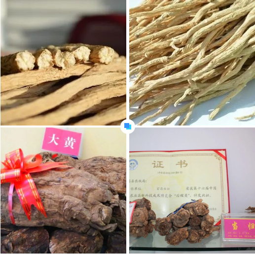集團(tuán)全力助推甘肅隴南宕昌縣委托招商引資，以特色優(yōu)勢(shì)資源引領(lǐng)，培育綠色產(chǎn)業(yè)高質(zhì)量發(fā)展！
