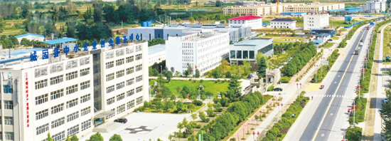 集團全力助推陜西省城固縣委托招商引資，打造百億級產(chǎn)業(yè)集群