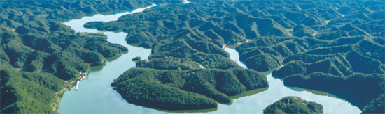 集團全力助推陜西省城固縣委托招商引資，打造百億級產(chǎn)業(yè)集群