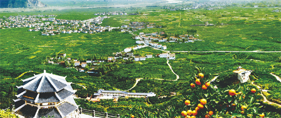 集團全力助推陜西省城固縣委托招商引資，打造百億級產(chǎn)業(yè)集群