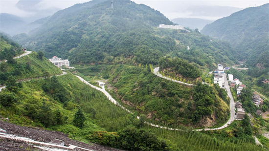 集團全力助推甘肅隴南武都區(qū)委托招商引資，將地域資源優(yōu)勢轉(zhuǎn)化為經(jīng)濟發(fā)展新動能