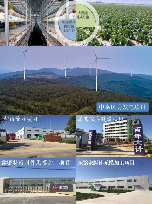集團全力助推陜西淳化縣委托招商引資，打造優(yōu)勢特色產(chǎn)業(yè)集群
