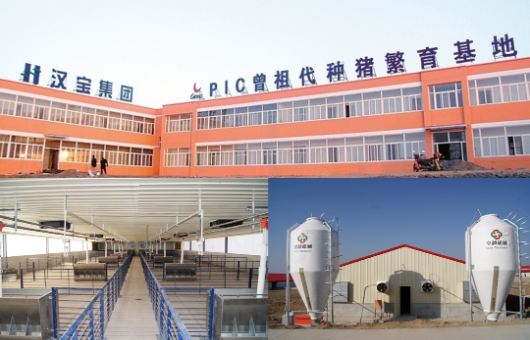 集團全力助推陜西淳化縣委托招商引資，打造優(yōu)勢特色產(chǎn)業(yè)集群