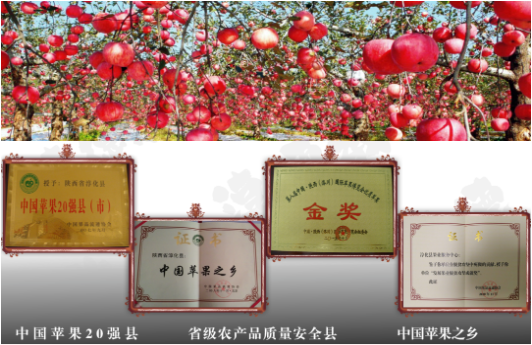 集團全力助推陜西淳化縣委托招商引資，打造優(yōu)勢特色產(chǎn)業(yè)集群