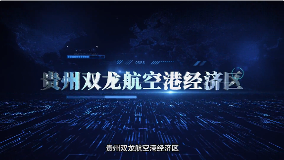 集團全力助推貴州雙龍航空港經(jīng)濟區(qū)委托招商引資，搶占發(fā)展先機，打造開放經(jīng)濟新高地