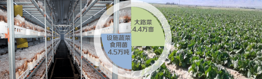 集團(tuán)全力助推陜西淳化縣委托招商引資，激發(fā)產(chǎn)業(yè)新活力，培育發(fā)展新動(dòng)能！