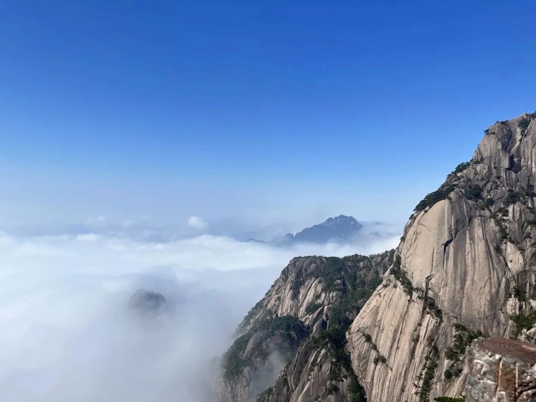 東方龍商務(wù)與春天有個約會！集團100余人赴安徽黃山“團建”，太嗨了！“奔跑二季度”——我們準備好了！