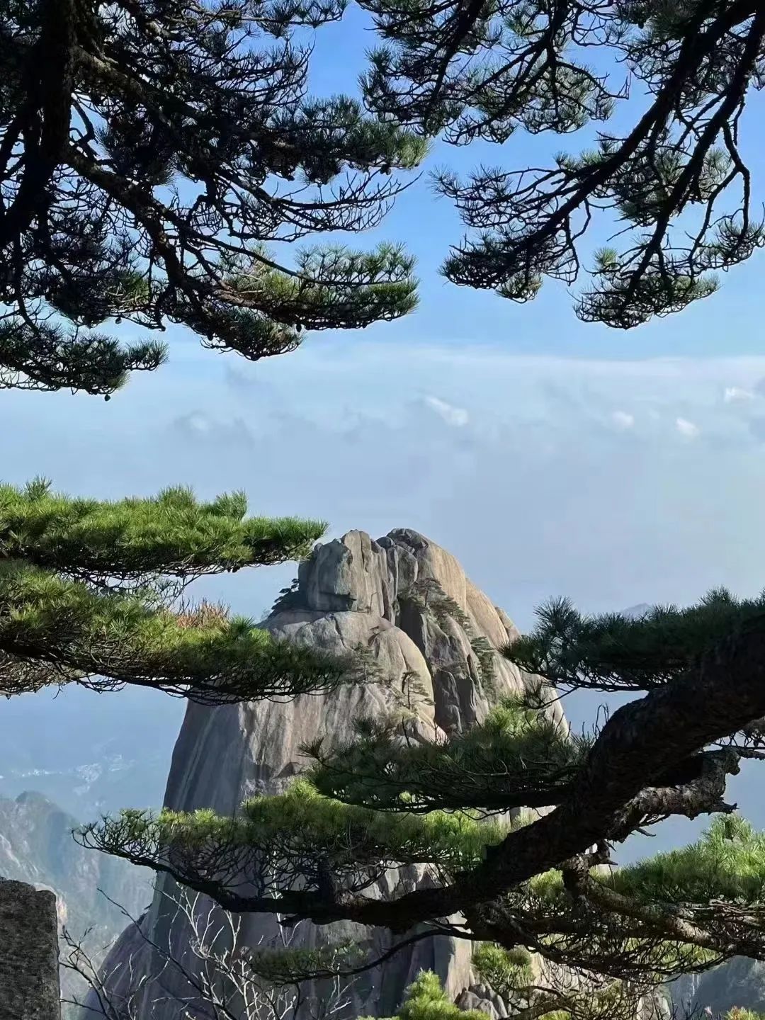 東方龍商務(wù)與春天有個約會！集團100余人赴安徽黃山“團建”，太嗨了！“奔跑二季度”——我們準備好了！